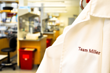 Join the Lab